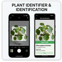 Application de suivi de la croissance et de rappel d'arrosage des plantes RoyalCraft pour iOS/Android/Mac