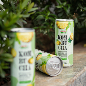 น้ำชาคอมบูชาสปาร์คกลิ้ง ตราเนาวอน ขนาด 250 มล. บรรจุกระป๋อง เครื่องดื่มคอมบูชาธรรมชาติ รสเลมอน เครื่องดื่มเพื่อสุขภาพ โรงงานรับผลิตแบบ OEM/ODM - Product Image 4