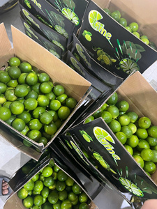 Citron vert sans pépins du Vietnam de haute qualité – Agrumes tropicaux frais pour les marchés internationaux - Product Image 3