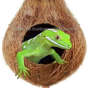 Produit pour animaux d'élevage fabriqué au Sri Lanka, exporté, grotte cachette en coquille de noix de coco, idéale pour les oiseaux, les pigeons, les reptiles, les terrariums et les rongeurs - Product Image 3