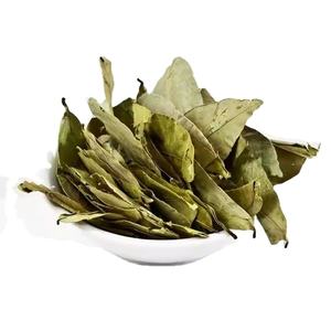 Feuilles de corossol séchées avec arôme naturel _ Fabricant direct du Vietnam - Product Image 2