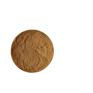 Bacopa-Monnieri-Extraktpulver als Nahrungsergänzungsmittel 20% 50% Bacopaminoside Bacopa-Monniera-Extrakt