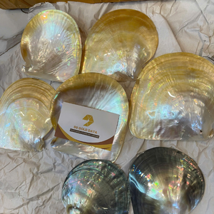 Premium Mother Of Pearl Black Lipped Oyster Shell From Vietnam For Elegant Home Decor Handcraft Use By 99 Gold Data - Product Image 1