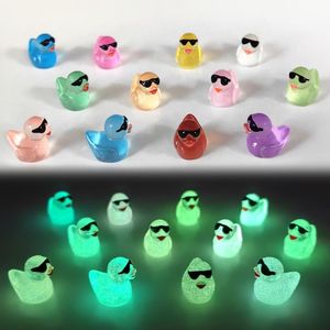 24 Canards Lumineux avec Lunettes de Soleil, Mini Figurines d'Animaux en Résine, Ornements de Jardin pour Jardin Féerique, Accessoires Artistiques, 24 Canards Lumineux - Product Image 1