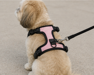 Arnés Clásico para Perro de Nailon Sólido Rosa, Ajustable, Transpirable, Acolchado, Reflectante, Talla Pequeña, Cierre de Hebilla para Perros - Product Image 3