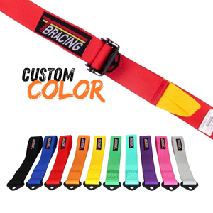 OEM Custom Logo Factory FIA Approved Racing Harness Lightweight Structure 2 Inch Real Motorsport <b>Applications</b> Combining - Product Image 4