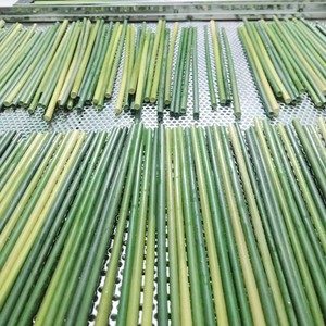 หลอดดูดหญ้าธรรมชาติเป็นมิตรกับสิ่งแวดล้อมสำหรับบาร์เครื่องดื่มจากเวียดนาม - Product Image 4