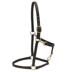 Harnais en cuir pour cheval, réglable, noir, avec ferrures en laiton, pour usage équestre, équipement d'équitation, articles de sellerie, fabricant en gros - Product Image 2