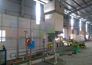 Machine d'emballage, de scellage et de comptage électrique de haute qualité 55W pour l'agroalimentaire, série TBM-SG01, Vietnam - Product Image 3