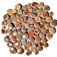 Opale de feu mexicaine naturelle de haute qualité, magnifique cabochon de pierre précieuse à jeu de couleurs, 20-45mm, 6-10g, évaluée par un tiers
