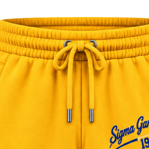 Sigma Gamma Rho Sorority <b>Women</b> Fleece Sweat <b>Shorts</b> Custom Greek Letter Casual <b>Lounge</b> Bottoms Athletic Workout Sportswear Soft - Product Image 3