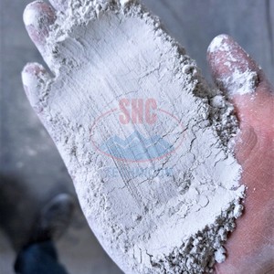 ผงปูนขาว325ตาข่ายปูนขาวที่มีความบริสุทธิ์94% สำหรับการทำเหมืองแร่และการบำบัดน้ำจากโรงงานน้ำตาลโดยตรงจากเวียดนาม - Product Image 4