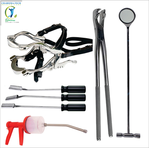 Kit dentaire vétérinaire équin comprenant une étrille buccale réglable, une râpe à dents robuste et un pistolet d'irrigation pour la dentisterie équine - Product Image 5
