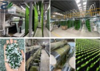 Gazon artificiel en plastique, simulation d'herbe, décoration pour le basketball, le football en plein air, tapis de loisirs, maternelle, PP+PE