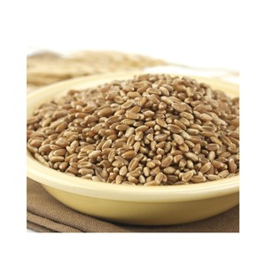 Grano de Trigo Agrícola de Alta Calidad Empacado para Importación a Granel Mediante una Limpieza Cuidadosa, Almacenamiento Seguro y Soporte del Proveedor - Product Image 3