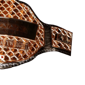 เข็มขัดแชมป์ MMA รุ่นไลท์เฮฟวี่แบบกำหนดเอง ดีไซน์คุณภาพพรีเมียม ของสะสม - Product Image 3