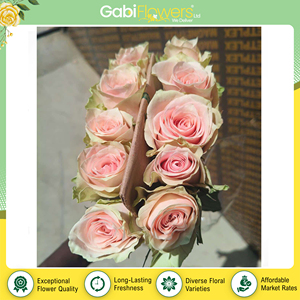 ของตกแต่งงานเทศกาลและช่อดอกไม้ ทำจากดอกไม้สดขายดี ดอกกุหลาบสีชมพูอ่อนจากผู้จัดจำหน่ายในเคนยา - Product Image 3