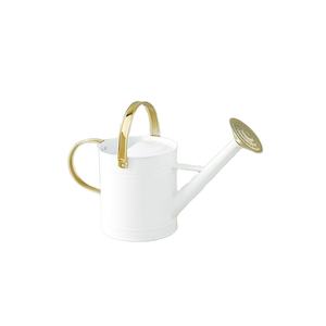Bidon d'eau en métal de couleur blanche avec poignées en or Design de fantaisie Arrosage des plantes de fabricants et fournisseurs - Product Image 1