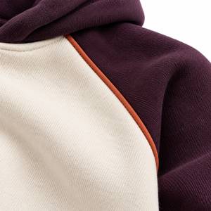 Men's Hooded Zip-Up Sweatshirt Blue <b>Brown</b> Color Block Casual <b>Fleece</b> Jacket Regular Fit Autumn Wear - Product Image 5