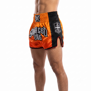 Pantalones Cortos de Boxeo para Hombre de Satén Premium, Transpirables, con Aberturas Laterales de Malla, 180g, Logotipo Personalizado Impreso por Transferencia de Calor, OEM, 3D, Ajuste Regular para Todas las Estaciones - Product Image 2