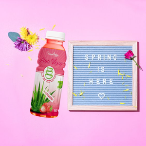 Bebida de Aloe Vera de 500ml con sabor a MANGO y piña, venta al por mayor, muestra gratis, precio barato de Vietnam - Product Image 3