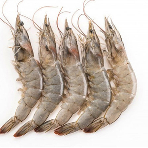 กุ้ง/อาหารทะเล/กุ้งลายเสือแช่แข็ง ราคาถูก - Product Image 1