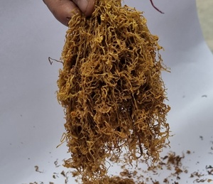 Hierbas doradas 4 Virginia Amber Leaf precios de fábrica a granel Roll Your Own Rolling Herbs Suministro de fábrica Hoja tipo ámbar Hierbas doradas - Product Image 4