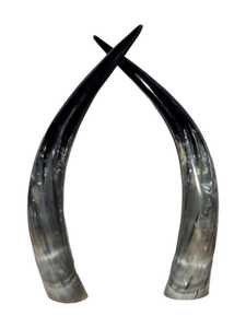Par de Cuernos Largos de Vaca Auténtica, Decoración Rústica de Estilo Occidental para el Hogar, Cuernos de Búfalo Naturales Pulidos con Tacto Real y Forma Natural - Product Image 6