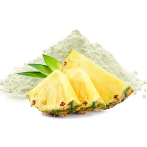 Extracto de Piña Cradle of Life en Polvo - Secado por Aspersión/Liofilizado - Sabor Tropical Dulce y Ácido - Vegano y Sin Gluten - De la India - Product Image 5