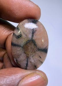 Colgante de Piedra Preciosa Natural de Chiastolita Marrón, Cabujón de Cristal Pulido, Chiastolita Natural para Joyería - Product Image 4