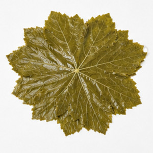 Hojas de uva en salmuera, envasado a granel, precio mayorista estándar internacional, fábrica en Vietnam, gran venta. - Product Image 1