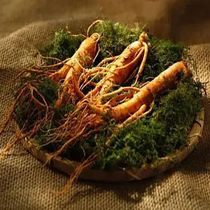 <span class=keywords><strong>Panax</strong></span> <span class=keywords><strong>Ginseng</strong></span> özü ve <span class=keywords><strong>Ginseng</strong></span> tozu doğrudan üreticiden - Product Image 4