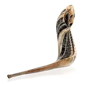 Shofar artisanal en corne de bélier, écoresponsable, en matériaux biologiques, technique personnalisée, poli, artisanat naturel, Uttar Pradesh Faizacraft pour - Product Image 4