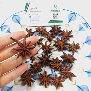 Achetez chez nous pour obtenir la meilleure qualité 100% Lang Son Province Star Anise 10kgs Carton TINIMEX CO.LTD (WA + 84362512699) - Product Image 4