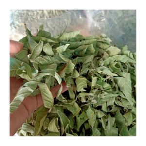 Feuilles de goyavier entières séchées à succès pour usines de transformation de boissons fiables et menus de boissons de restaurants - Product Image 3