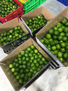 Lime verte fraîche coupée en tranches, sans pépins, 5-10 cm, pour jus, boissons, cuisine, vente en gros - Product Image 6