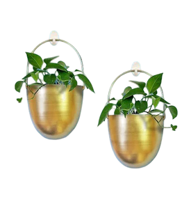 Jardinière murale de luxe dorée, finition laiton, pot en fer, jardin vertical d'intérieur, bassin suspendu décoratif, décoration artistique moderne pour bureau - Product Image 1