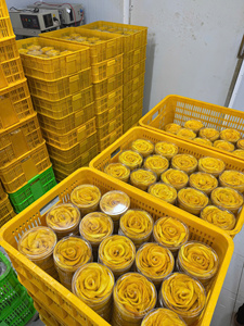 Tranches de mangue séchée du Vietnam, produites à partir de fruits tropicaux frais et mûrs, pour les collations, la décoration de gâteaux, les mélanges de granola et la restauration. - Product Image 6