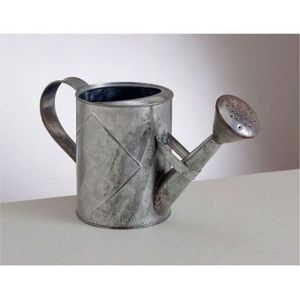 Vintage Galvanized Metal Watering Can 1 Gallon Rust Proof Outdoor Garden Plant Flower Watering Pot <b>Heavy</b> <b>Duty</b> Farmhouse Decor - Product Image 1