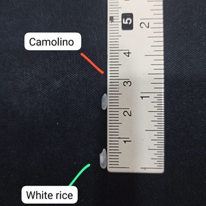 Arroz Egipcio Mediano Camolino al por Mayor de la Marca South Mekong, Apto para Distribuidores de Oriente Medio, Buena Calidad, Mejor Precio - Product Image 4