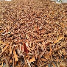 Canela de Vietnam Cruda Seca de Alta Calidad, Especias de Canela Cassia de Vietnam, Phalco Vietnam Amarillo Dorado, 20 kg, 24 Meses - Product Image 6