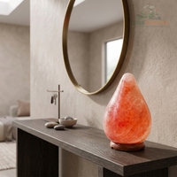 Premium Hand Carved Teardrop Shape Himalayan Pink Salt Lamp Warm Ambient Night Light for Bedroom Living Room Decor