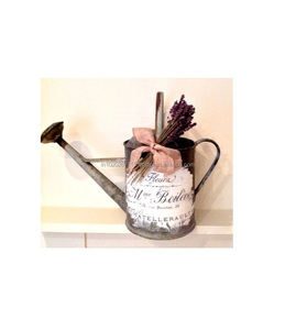 L'eau galvanisée peinte en émail détaillé peut être parfaite pour le décor de patio de plantes d'intérieur extérieur et le cadeau unique de style de ferme - Product Image 4