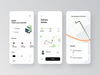 Aplicación Móvil Avanzada para Entrega de Paquetería, Seguimiento en Tiempo Real por Internet y MAC, Optimización Inteligente de Rutas, Recogida Instantánea