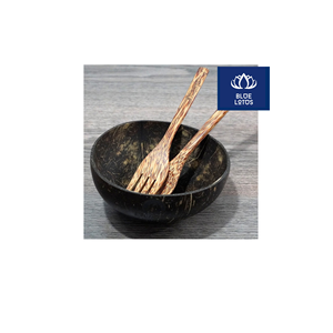 Bol en coque de noix de coco écologique, pur et sûr, idéal pour servir des smoothies et des salades – Meilleure vente, prix direct - Product Image 1