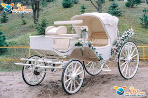 Buggy de luxe pour cérémonie de mariage indienne, calèche royale tirée par des chevaux, calèche élégante blanche ouverte tirée par des chevaux pour mariage - Product Image 6