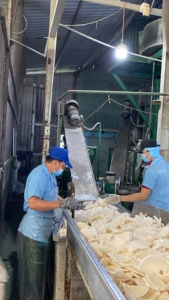Poudre de noix de coco râpée riche en matières grasses, qualité fine et moyenne, goût sucré, épices de fruits séchés, vente en gros, procédé de séchage - Product Image 6