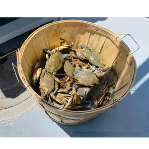 Paniers à crabes prêts pour le marché, en bois, pour le stockage des fruits de mer, en vrac, durables, artisanaux, fabriqués au Vietnam - Product Image 2