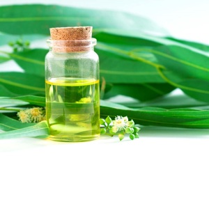 Huile Essentielle d'Eucalyptus Naturelle pour la Croissance des Cheveux, Soins de la Peau, Massage, Aromathérapie, Soulagement des Maux de Tête, Huile Pure Distillée à la Vapeur - Product Image 5