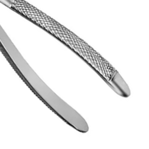 Pinzas de Extracción de Incisivos Superiores y Premolares, de Acero Inoxidable, Instrumento Quirúrgico Dental para Extracción de Dientes - Product Image 4